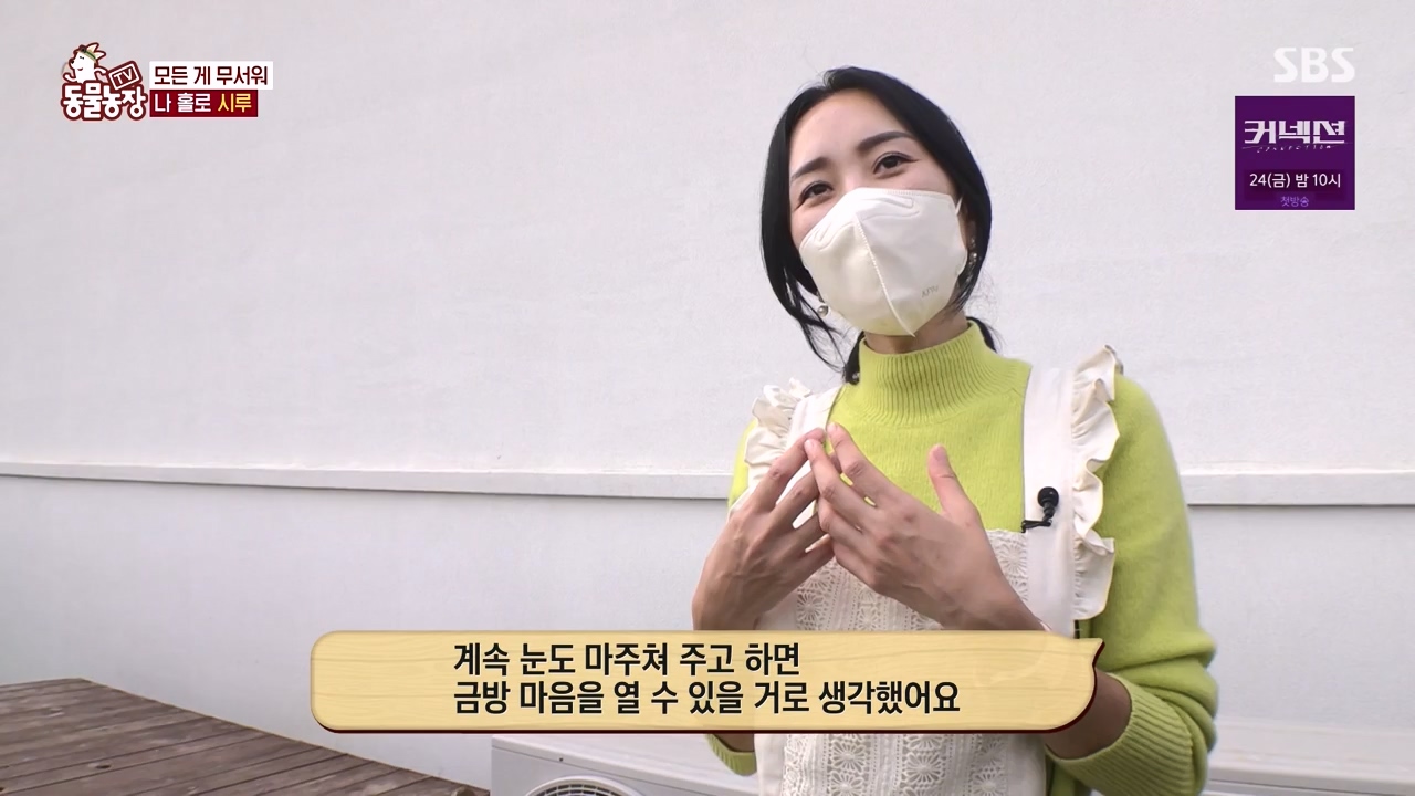 TV 동물농장.E1172.240520p-NEXT.mp4_20240519_165241.554.jpg