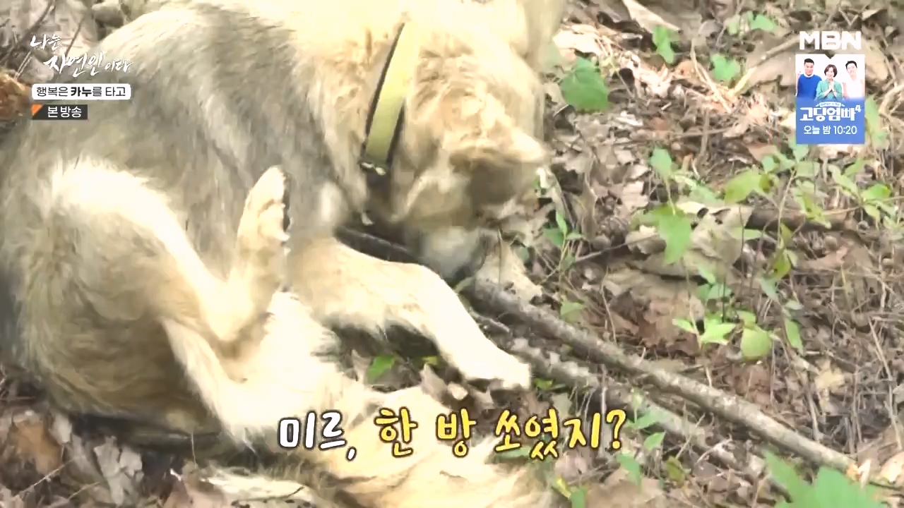 나는 자연인이다.E576.231019p-NEXT.mp4_20231019_201416.597.jpg