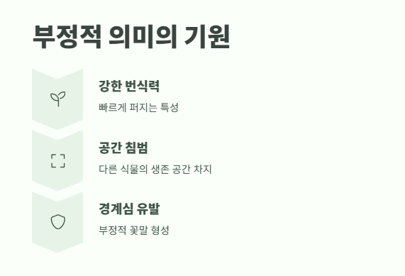 금계국 꽃말 완벽 정리 5