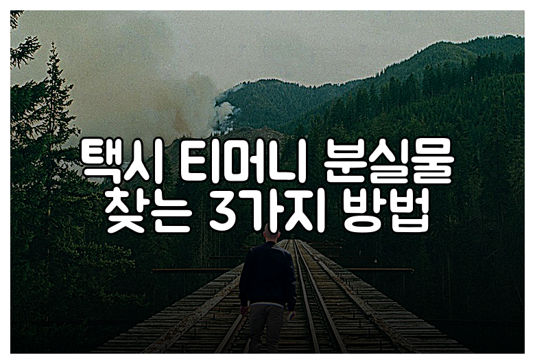 택시 티머니 분실물 찾는 3가지 방법