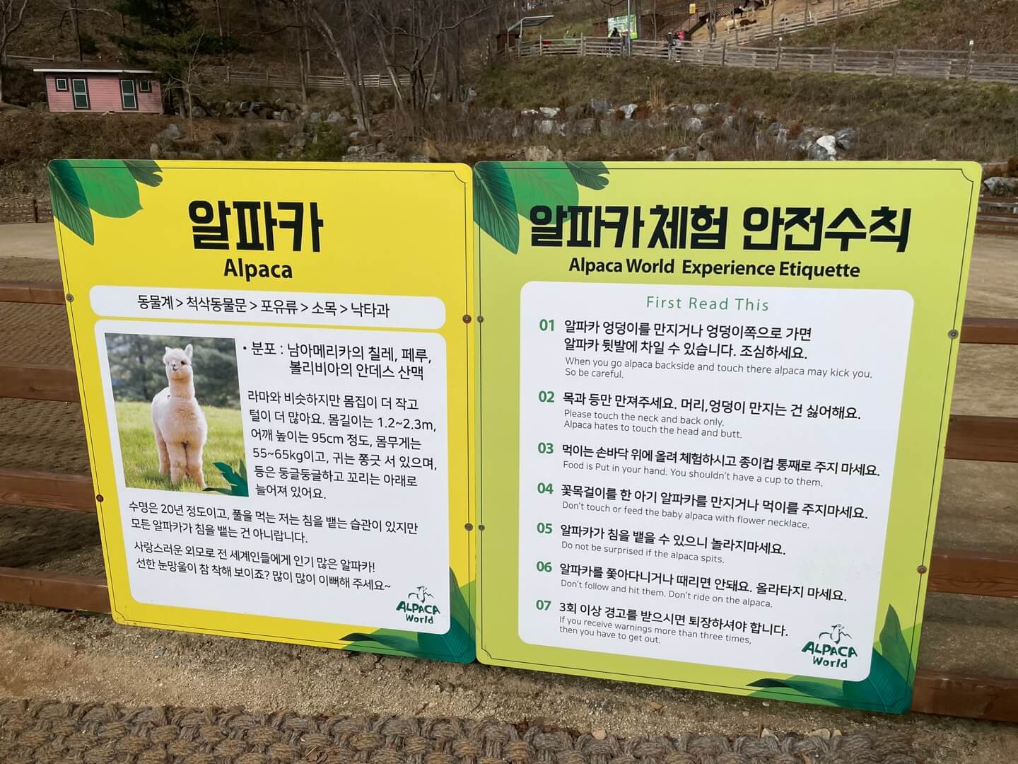 안전수칙