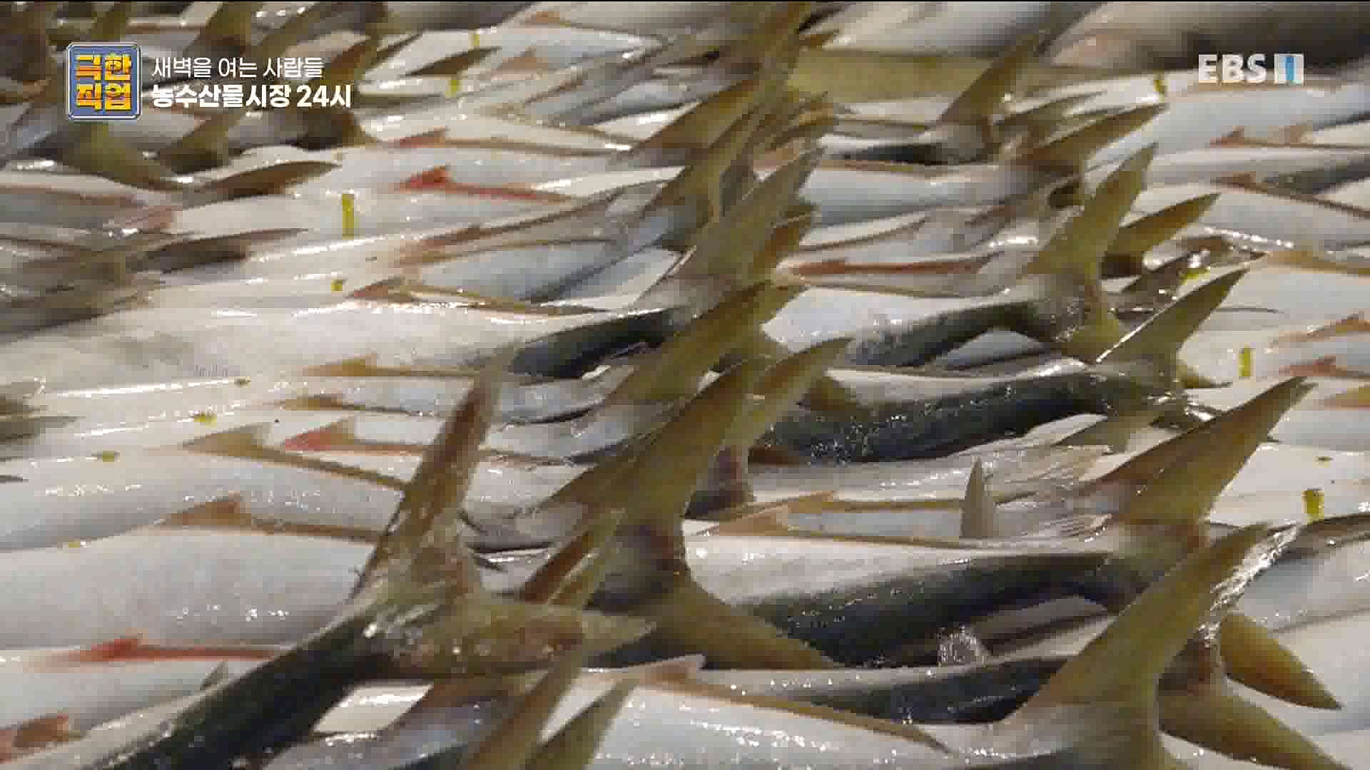 농수산물 시장 24시.mp4_20221020_161648.849.jpg