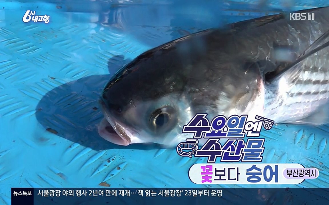 6시 내고향.E7523.220421p-NEXT.mp4_20220507_175021.315.jpg