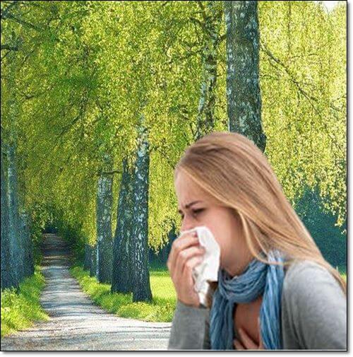 꽃가루 알레르기가 있는 여성