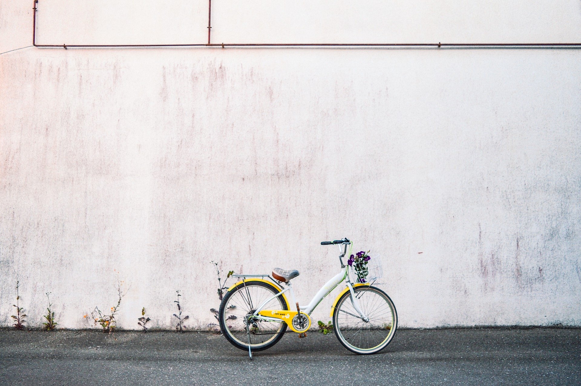 자전거 사진
