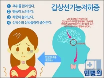 갑상샘 저하증 갑상선 기능저하증 증상 수치 치료_15