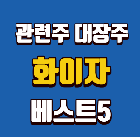  화이자 관련주 대장주 베스트5