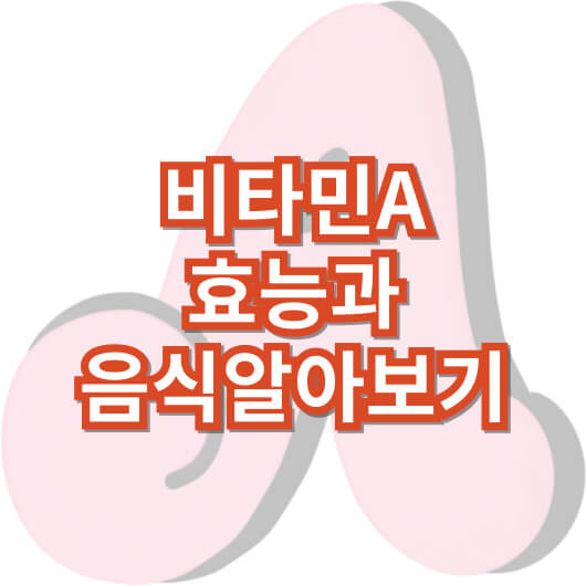 비타민A-효능과-하루-권장량-많은-음식