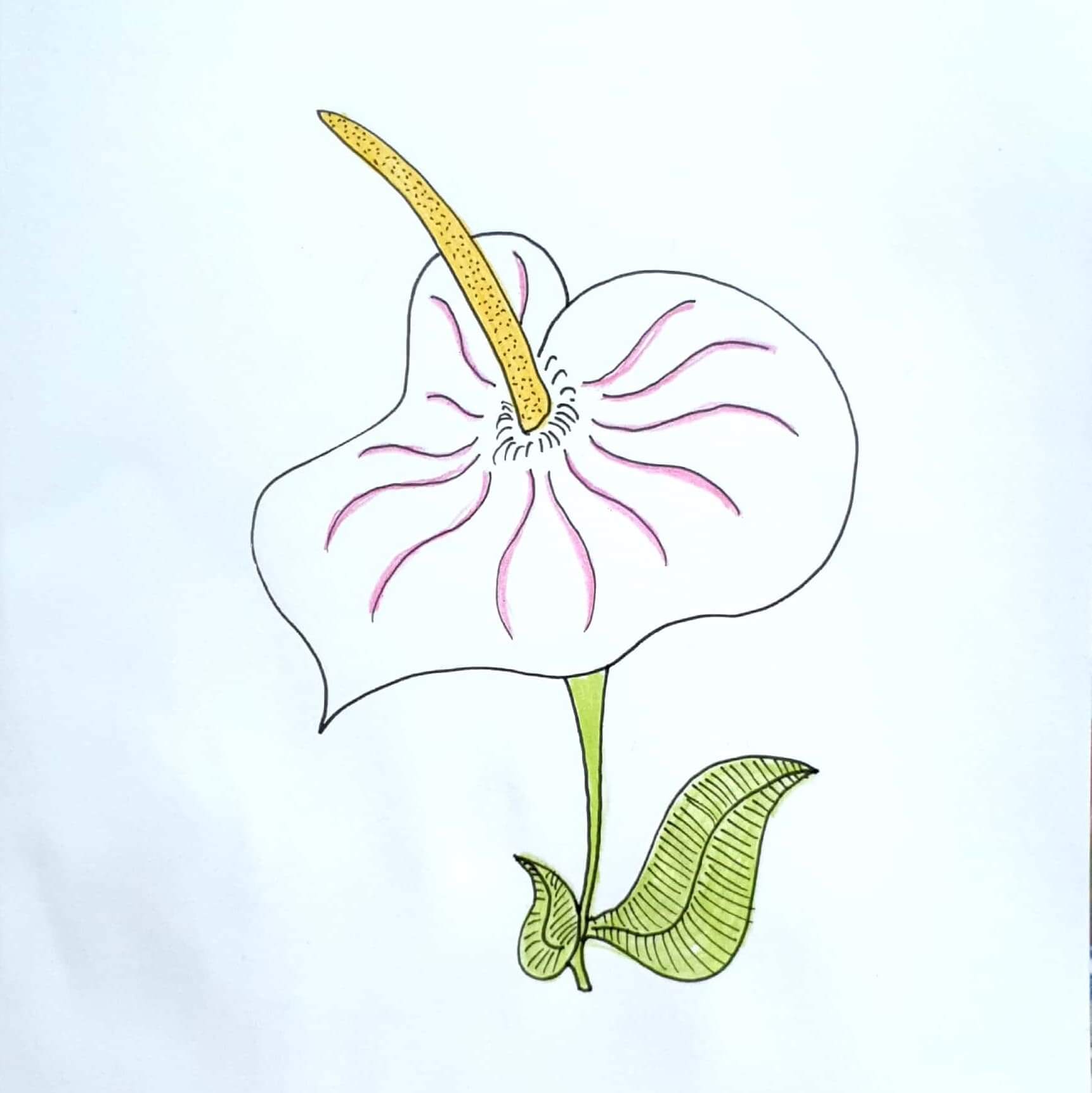  Morning 아침 / 일러스트 일러스트레이션 그림 드로잉 / 꽃 그리기