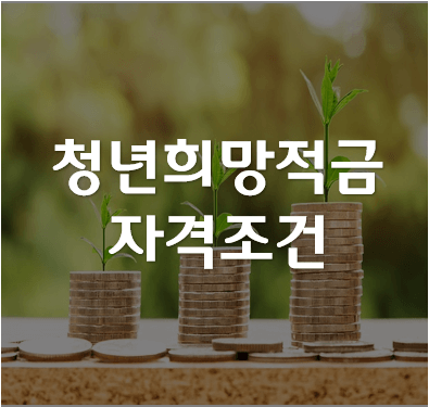 청년희망적금