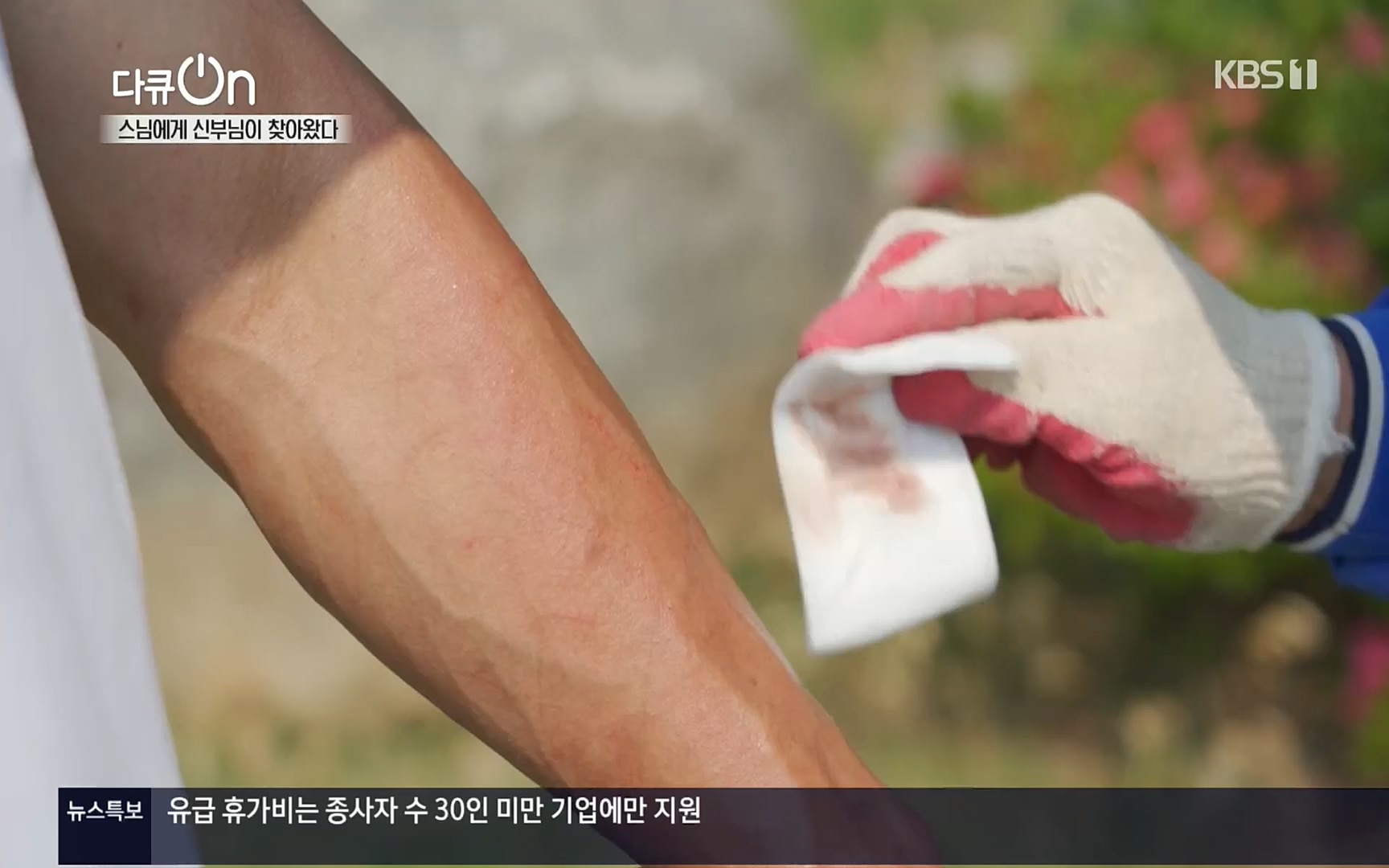 다큐 On.E148.220715p.H264-F1RST.mp4_20220717_131414.183.jpg