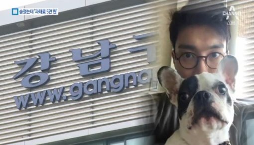 최시원과애견사진