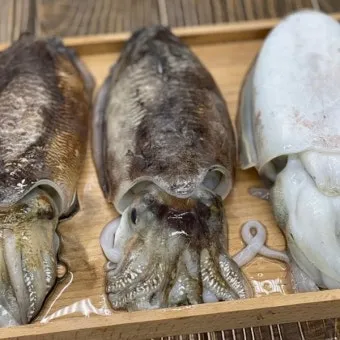 갑오징어 손질법 제철 맛있게 먹는 방법_4