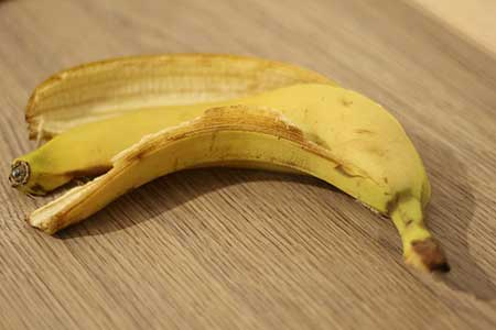 천연비료 만드는 법 바나나