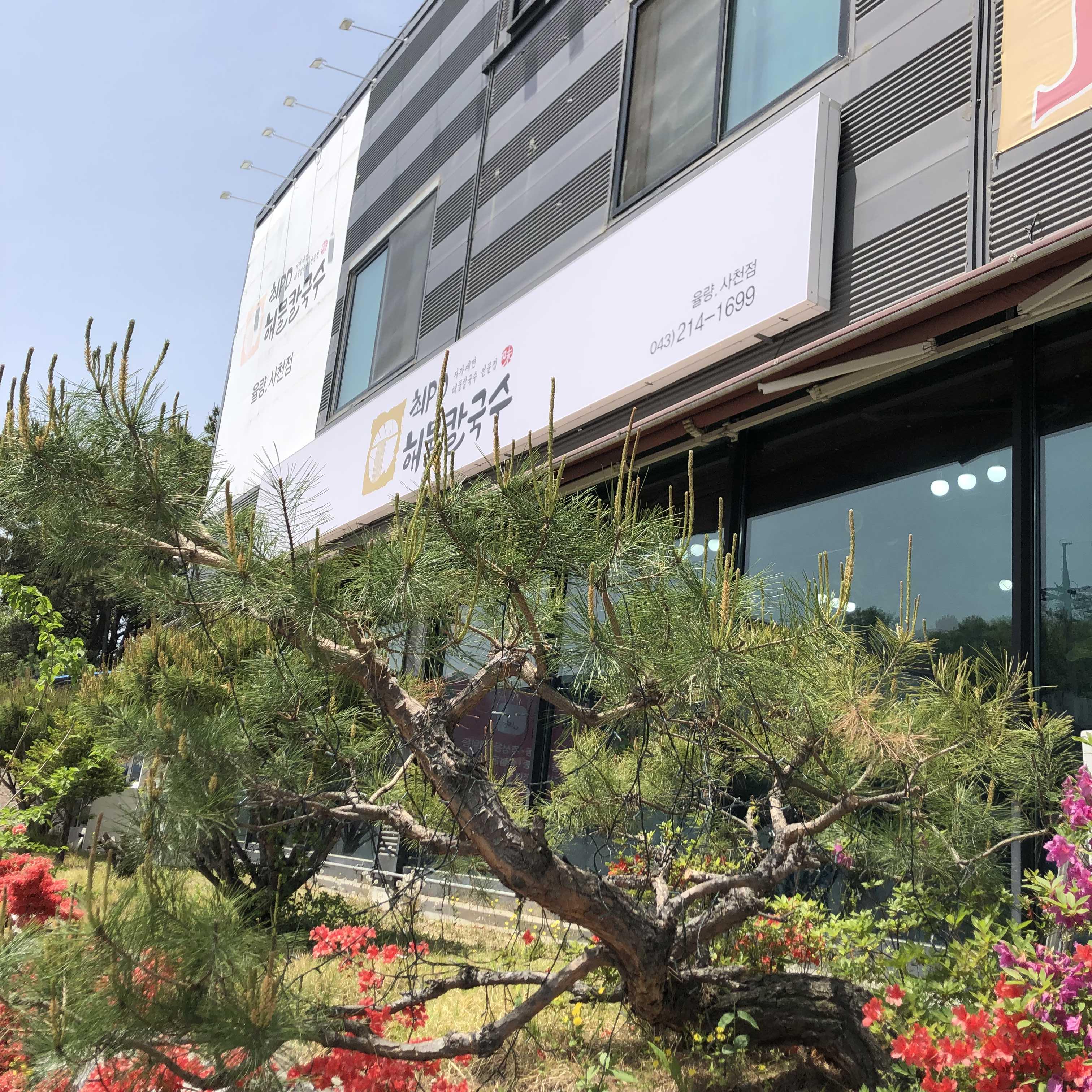  청주 율량동 최피디 해물칼국수 해물이 끝장이네