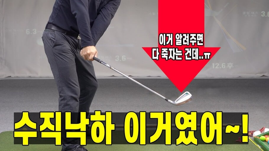 수직낙하의 미덕
