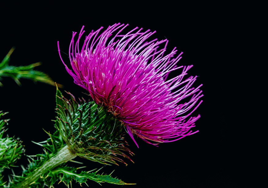 2023 마놀로지 컷 파란통 다이어트 후기!  요약