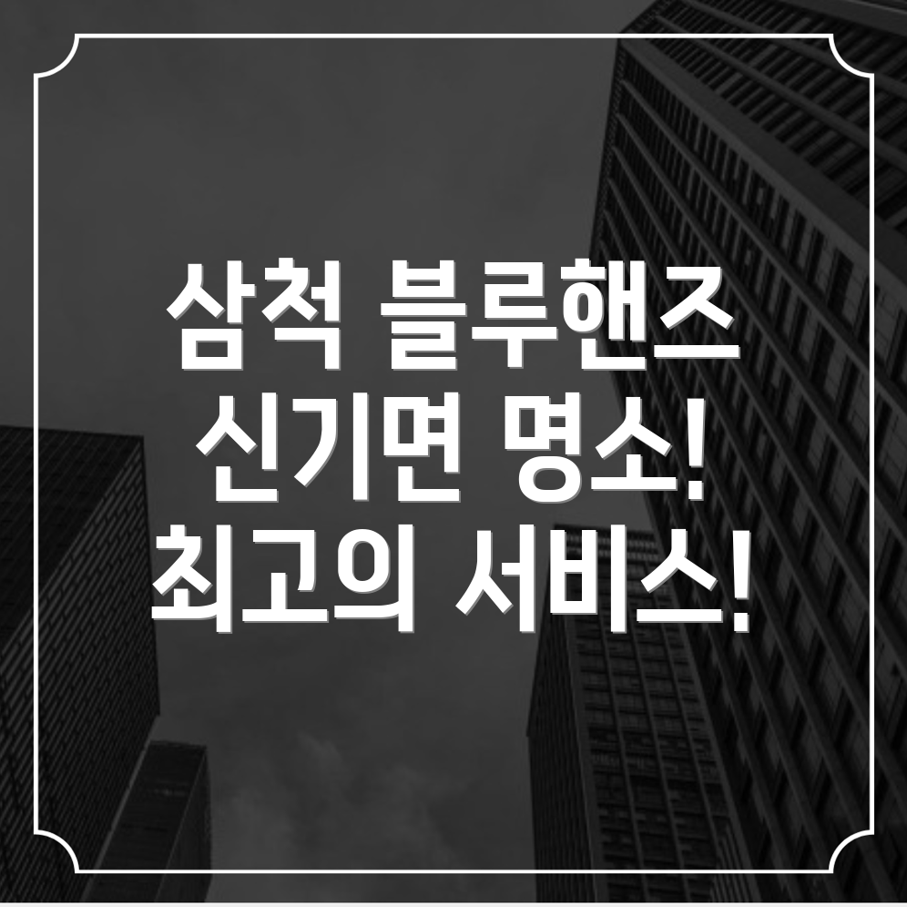 블루핸즈