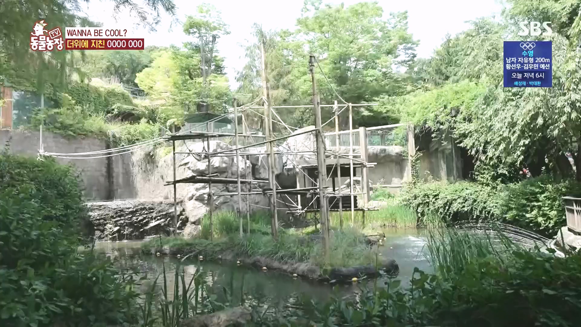 TV 동물농장.E1182.240728p.H264-F1RST.mp4_20240728_152538.229.jpg