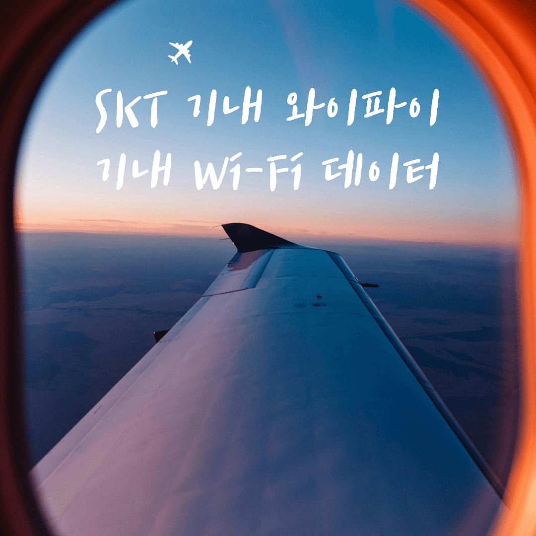 SKT 기내 와이파이(Wi-Fi), T 기내 데이터