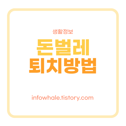 돈벌레퇴치