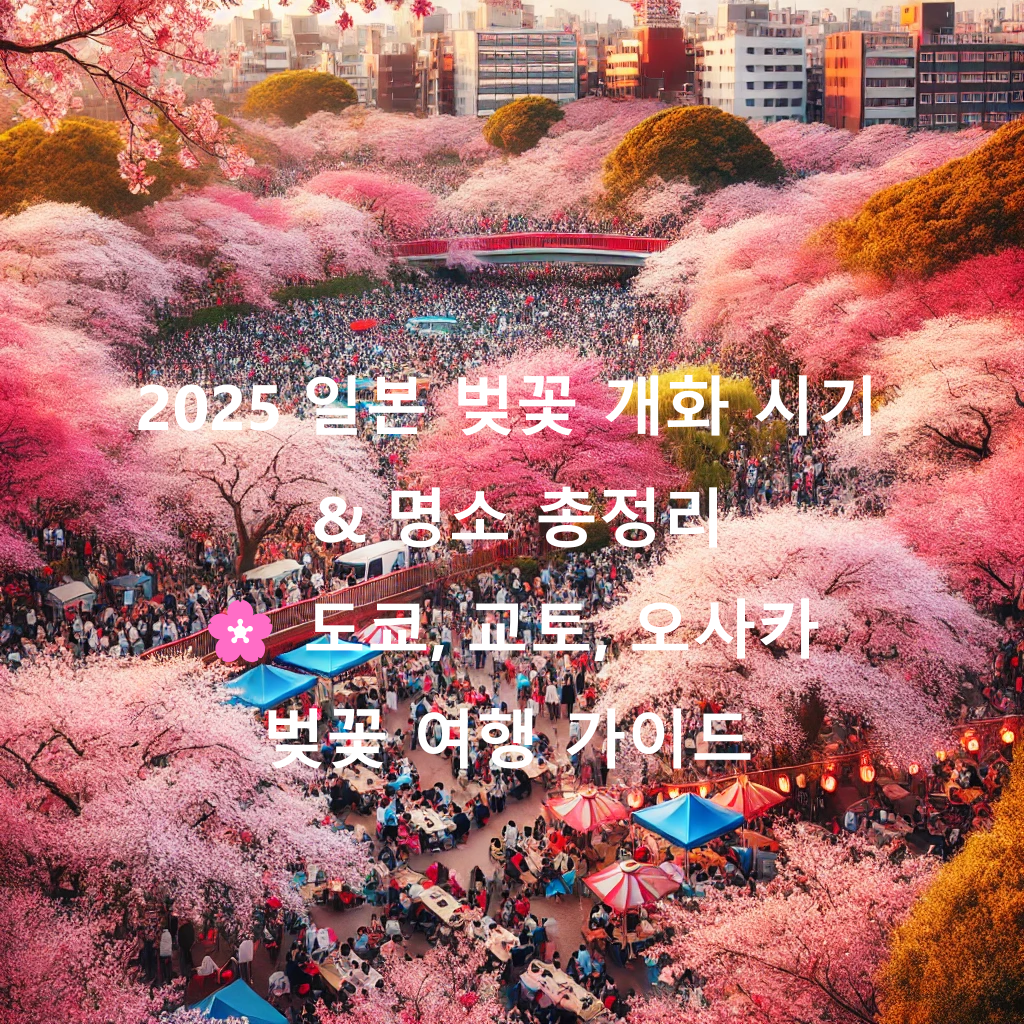 2025 일본 벚꽃 개화 시기 &amp; 명소 총정리 🌸 도쿄, 교토, 오사카 벚꽃 여행 가이드