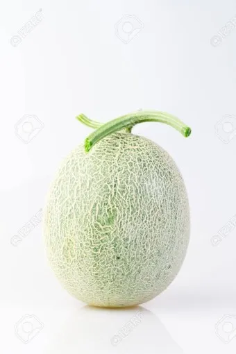 멜론 해지 서비스 중단 방법 안내 센터 해제법_43