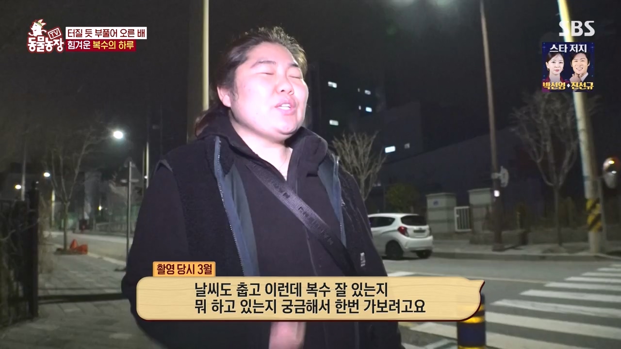 TV 동물농장.E1173.240527p-NEXT.mp4_20240526_155723.468.jpg