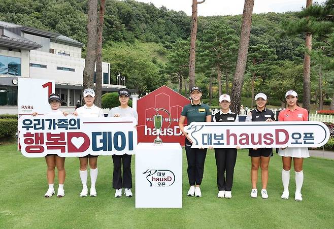 대보 이미지