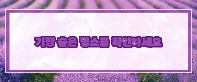 기장 가볼만한곳 베스트10 2025 (+가족여행코스)