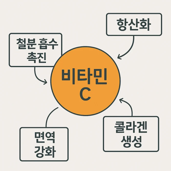 비타민C의-효능을-보여주는-이미지