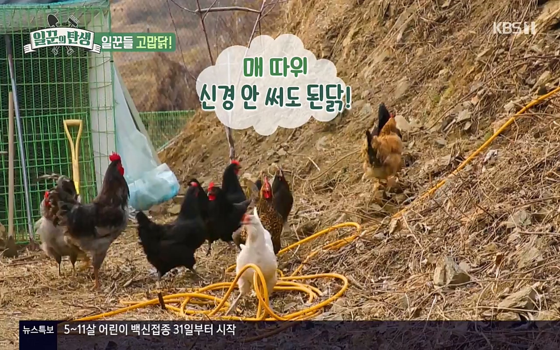 일꾼의 탄생.E17.220331p-NEXT.mp4_20220331_181518.981.jpg