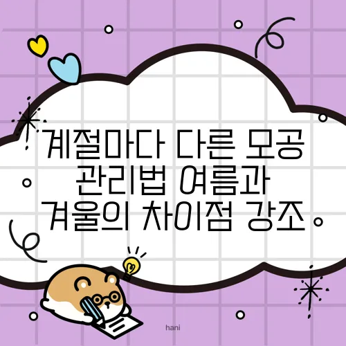 계절마다 다른 모공 관리법 여름과 겨울의 차이점 강조