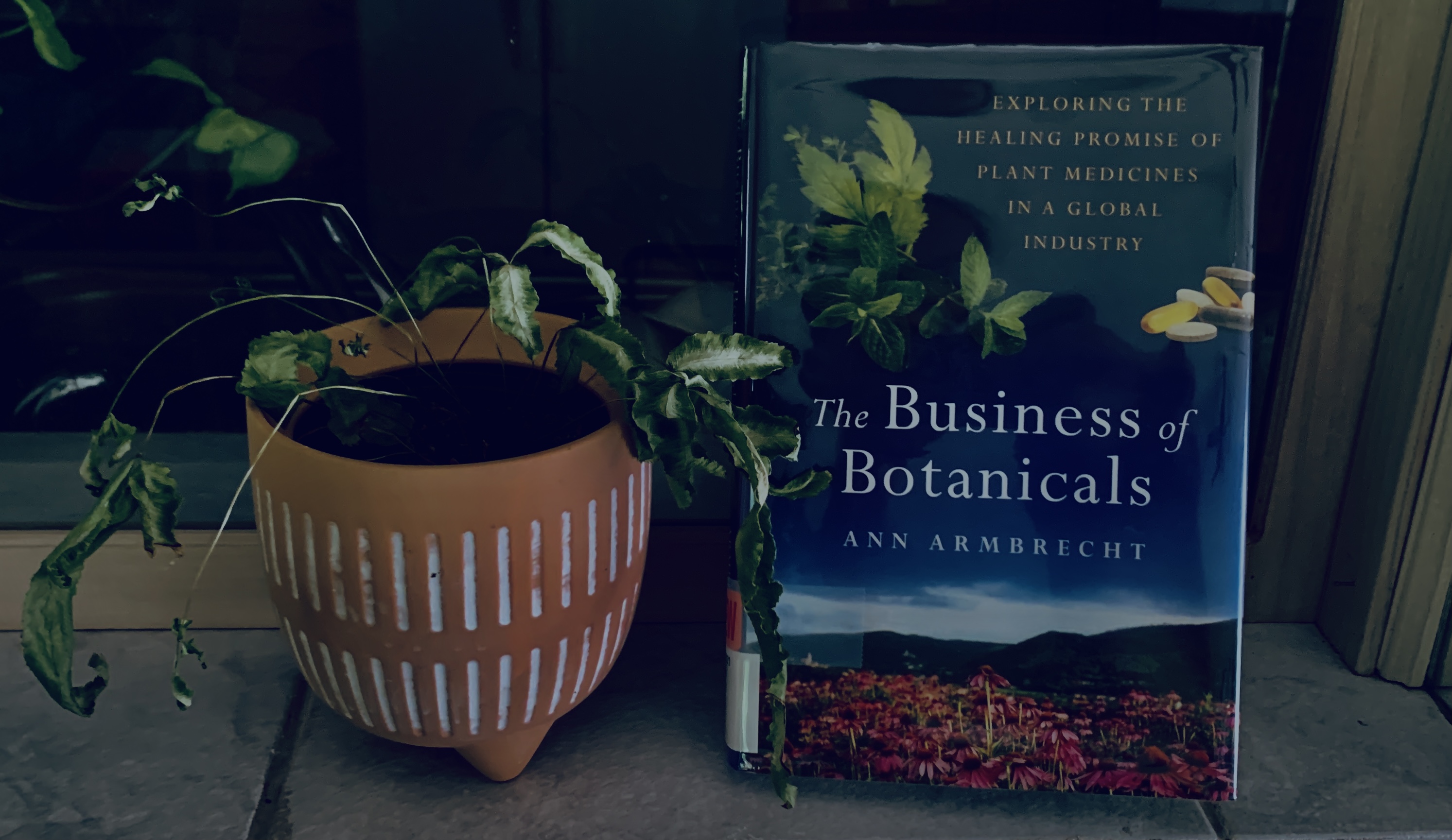  The Business of Botanicals by Ann Armbrecht Review