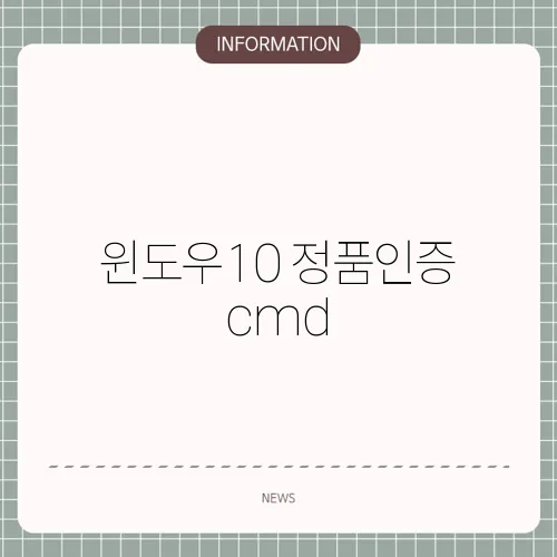 윈도우10 정품인증 cmd
