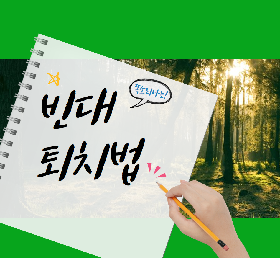  빈대 퇴치법 백전백승 박멸하자!