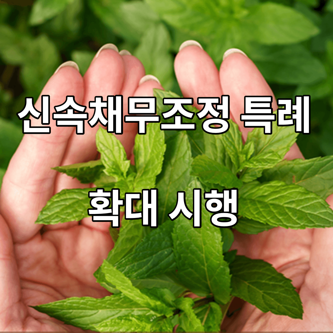 가속화 된 부채 구조 조정 - 특수 사례