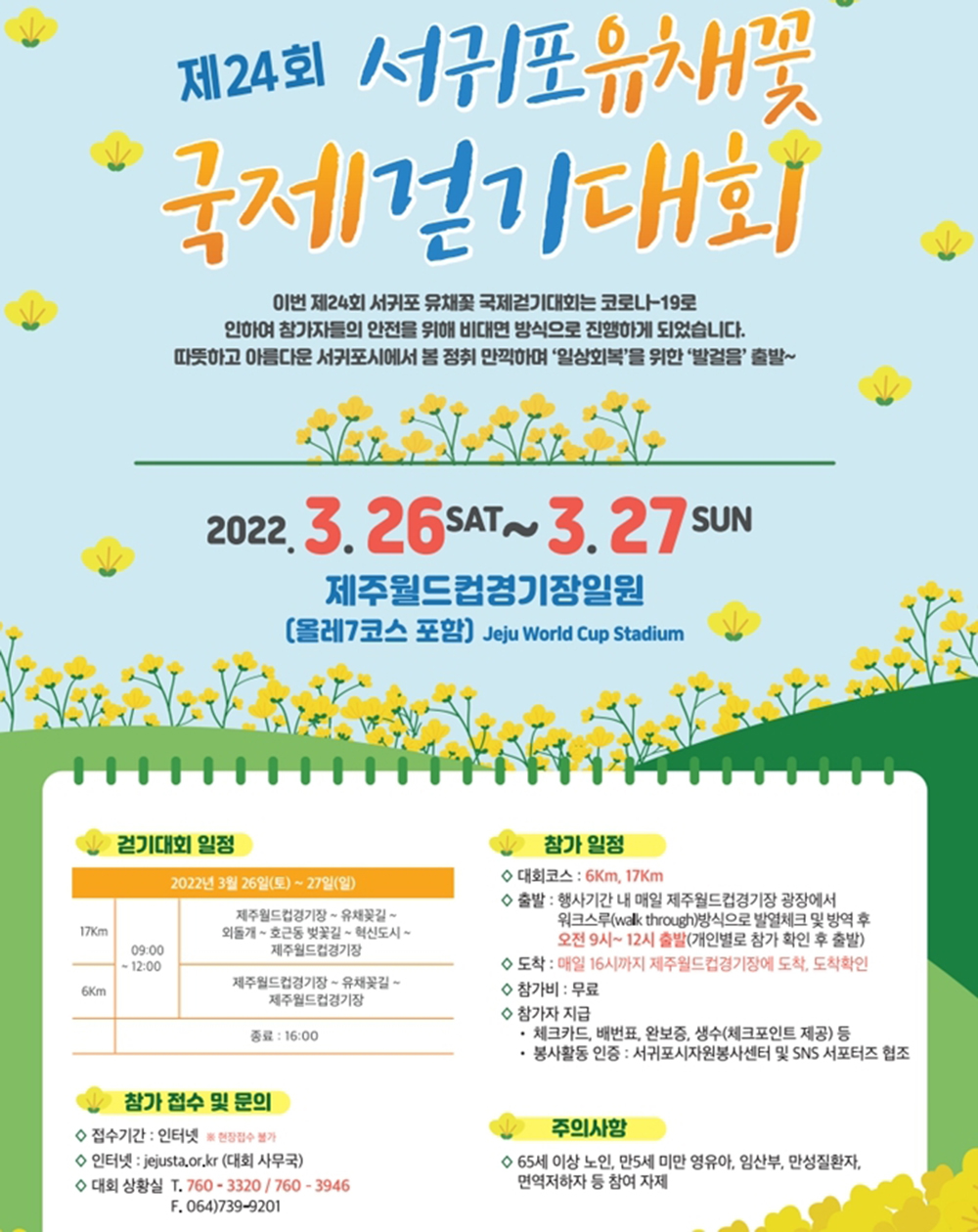 [제주도 Jejudo] 서귀포 유채꽃 국제걷기대회 일정