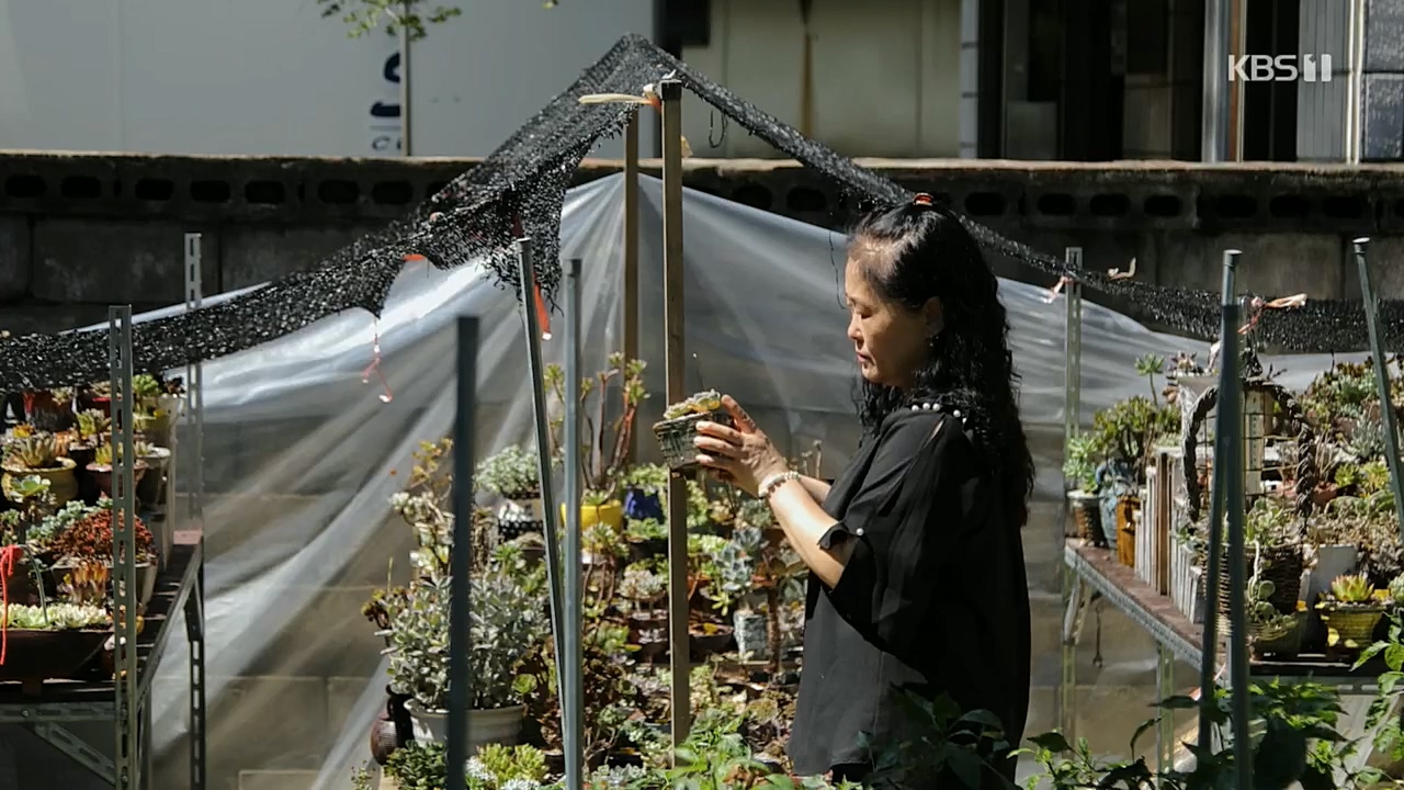 생로병사의 비밀.E845.221131p.H264-F1RST.mp4_20221201_215324.319.jpg