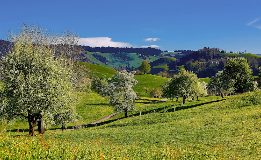 Country