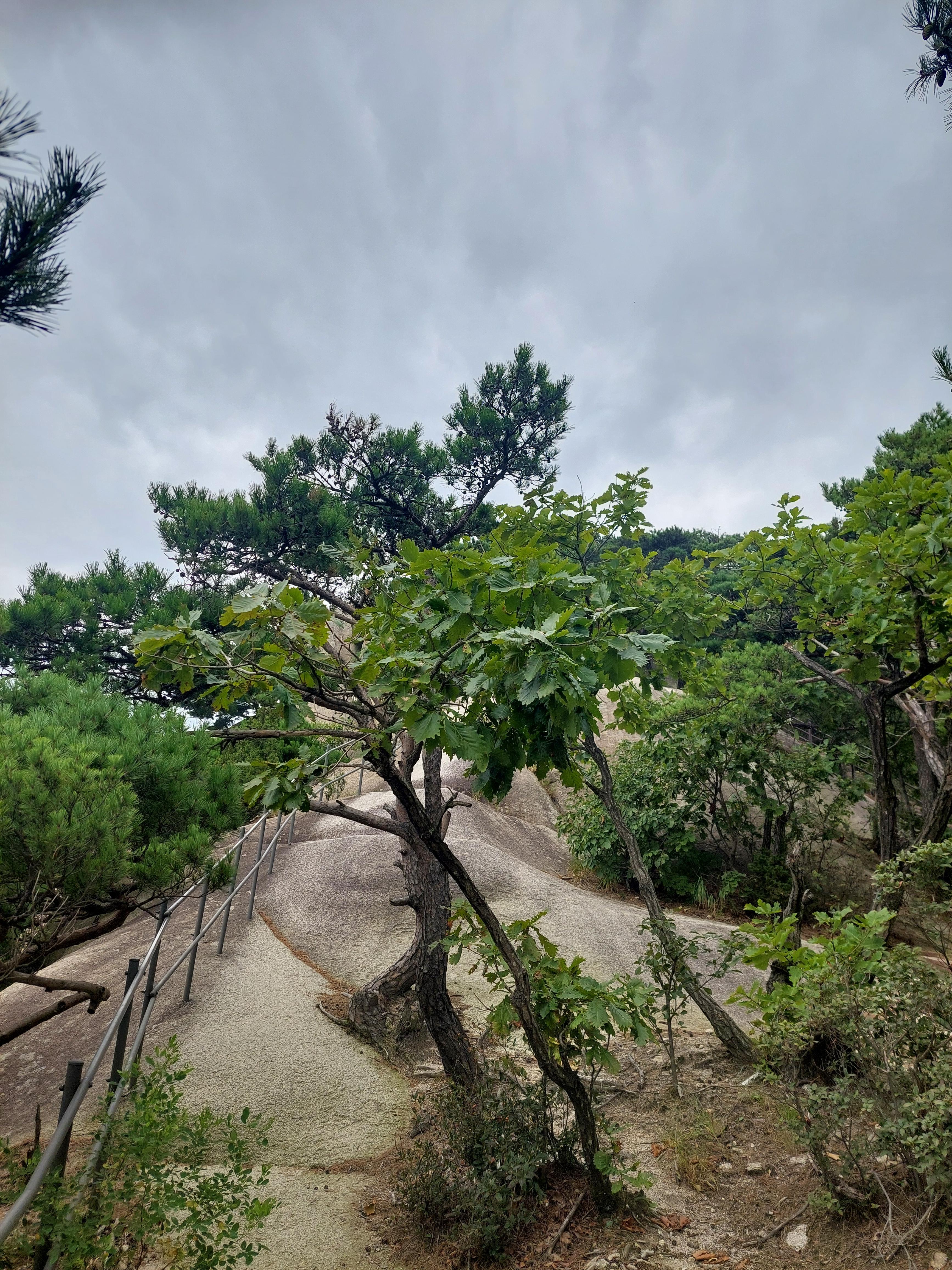 사패산
