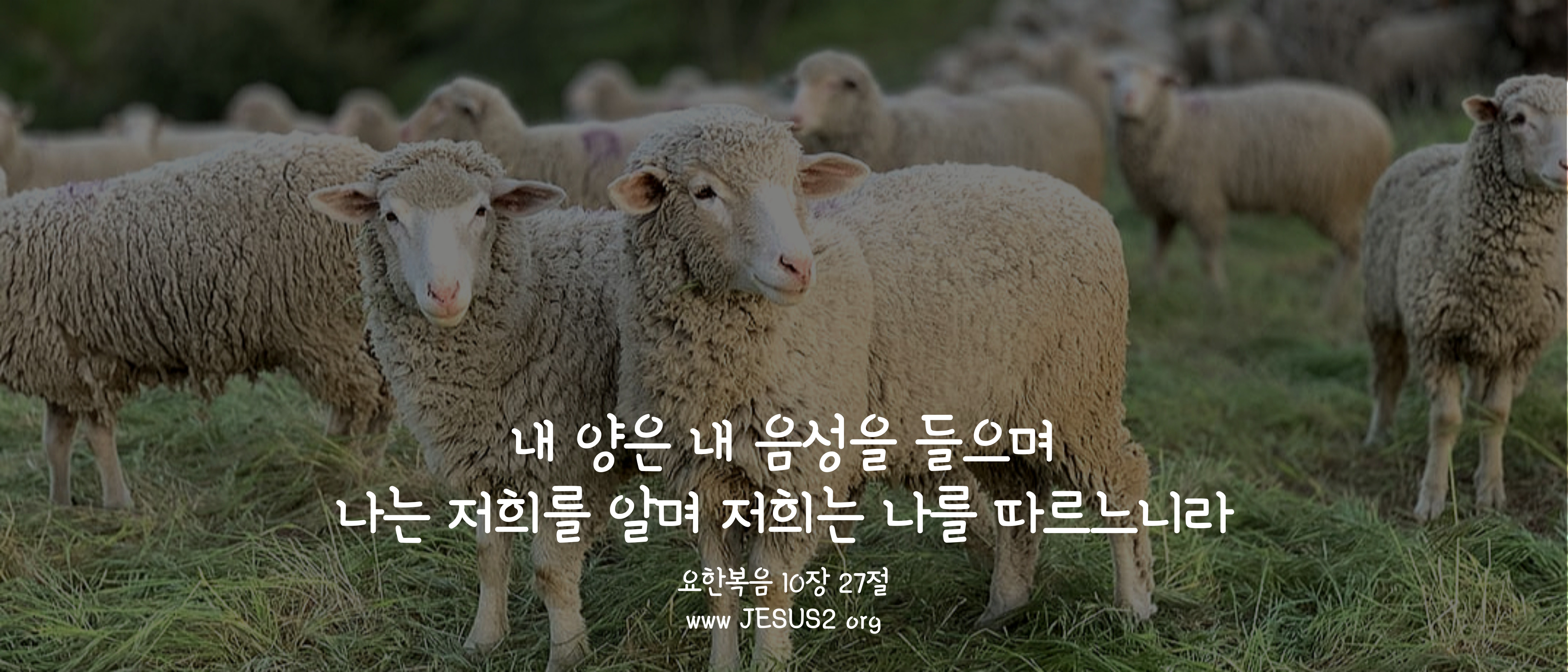  마태복음 3장