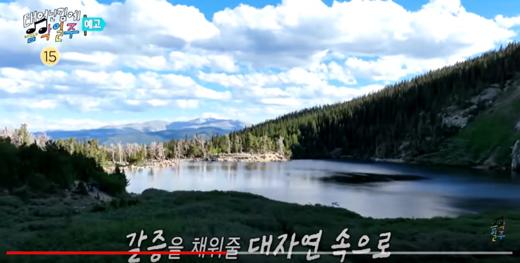 태어난 김에 음악일주 출연진 기본정보 재방송 매력포인트