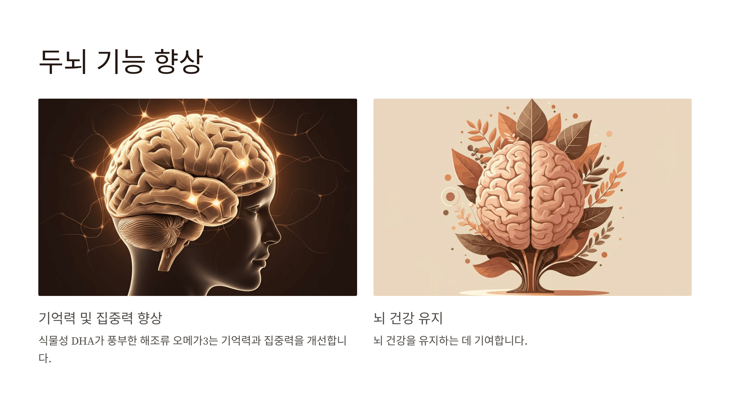 식물성오메가3와 관련된 사진입니다.