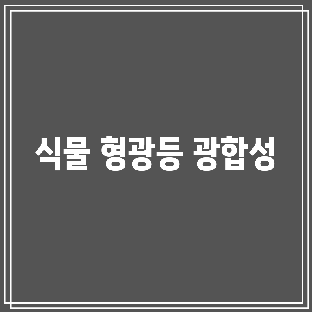 식물 형광등 광합성