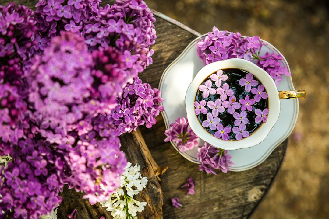 Lilac