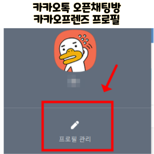  카카오톡 오픈채팅방 카카오프렌즈 프로필 닉네임 설정 변경 방법