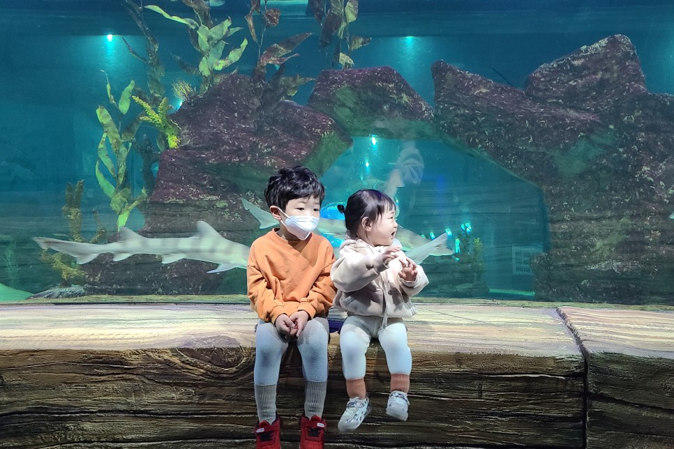 부천 아쿠아리움 부천 아쿠아리움먹이주기 체험 30