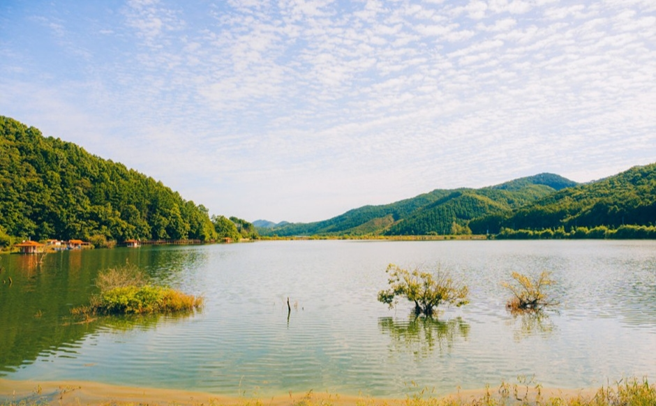 가을 단풍 여행 지도(3) - 충청도 - 장태산&amp;#44; 대둔산&amp;#44; 신성리갈대밭&amp;#44; 보발재&amp;#44; 문광저수지&amp;#44; 말티재 추천지 6곳!!11