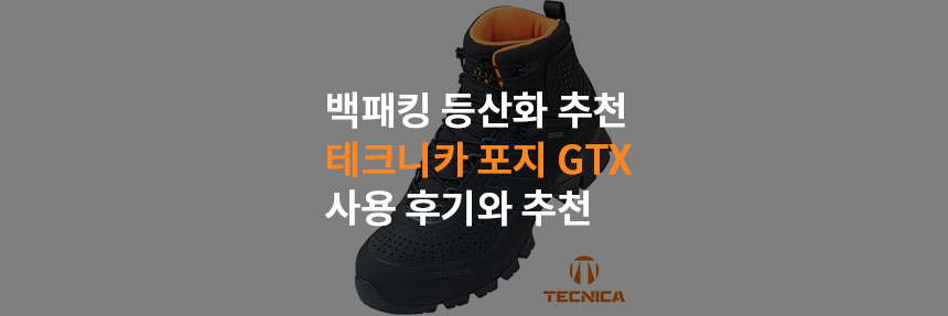 테크니카-포지-GTX